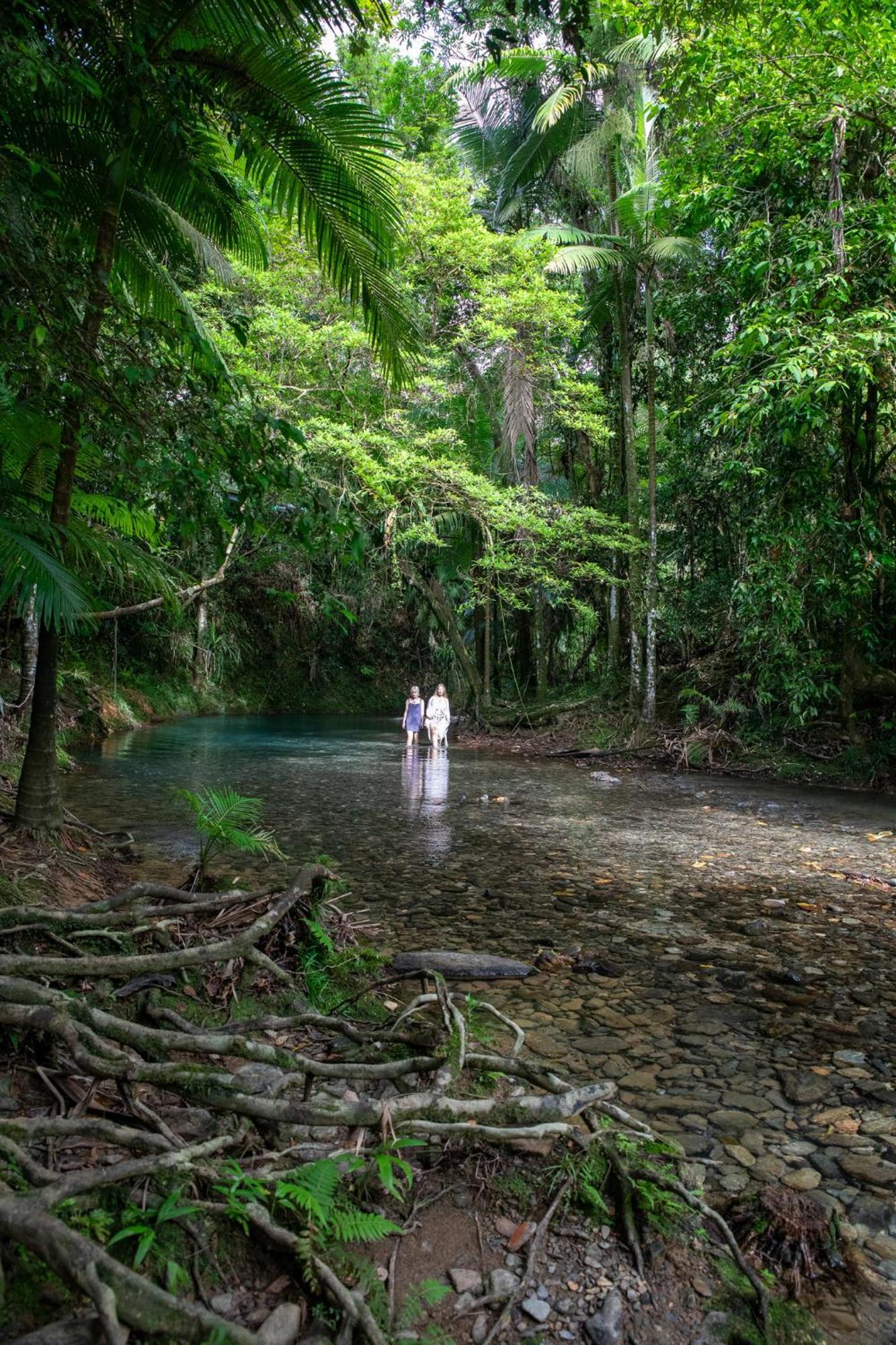 Heritage Lodge - In The Daintree Exterior foto