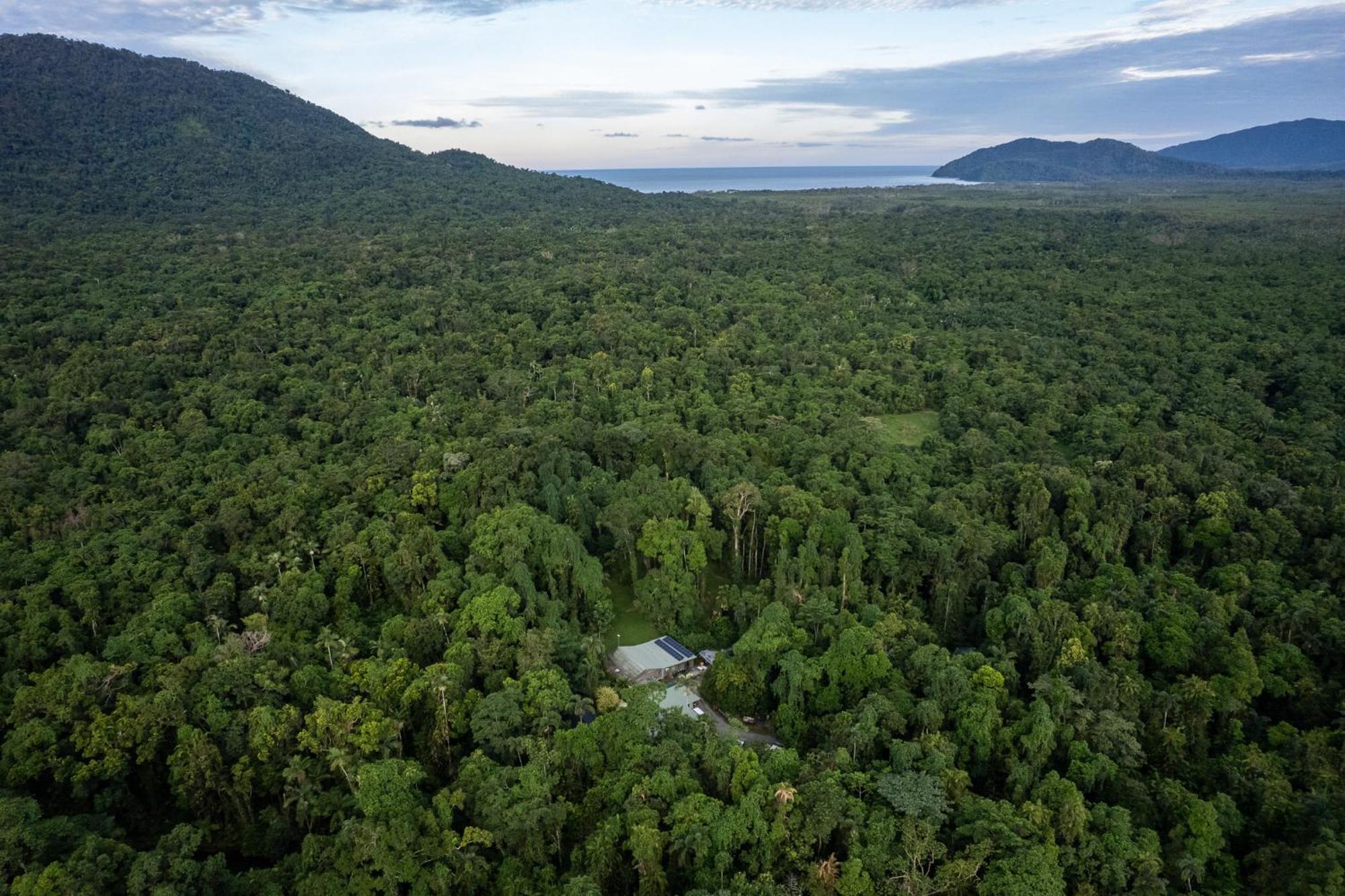 Heritage Lodge - In The Daintree Exterior foto