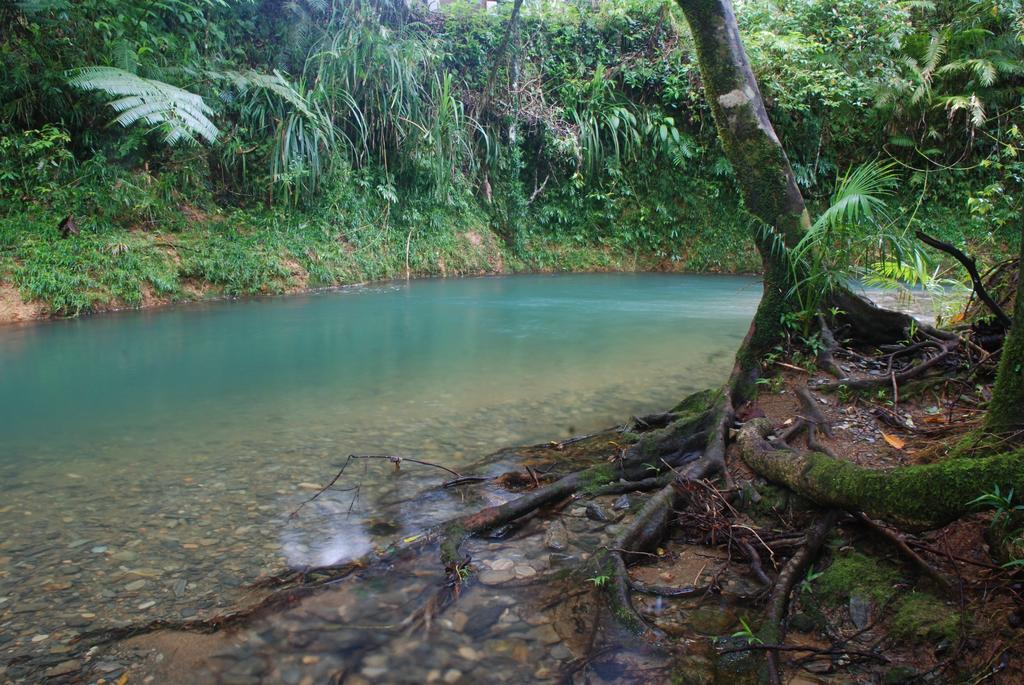 Heritage Lodge - In The Daintree Exterior foto